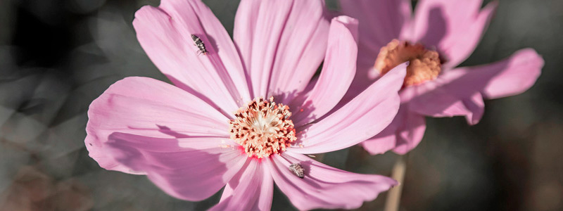短信测试网站免费